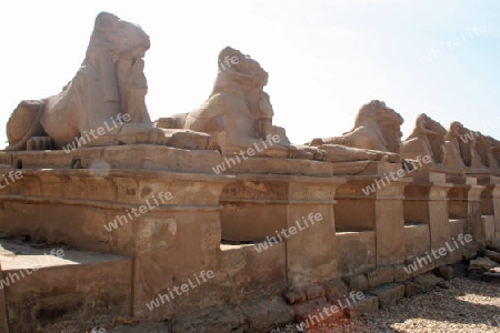 ?gypten - Karnaktempel 008