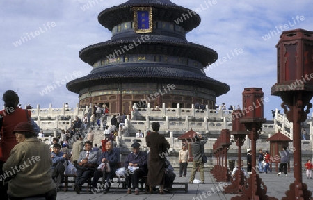 the temple of heaven in the tiantan park in the city of beijing in the east of china in east asia. 