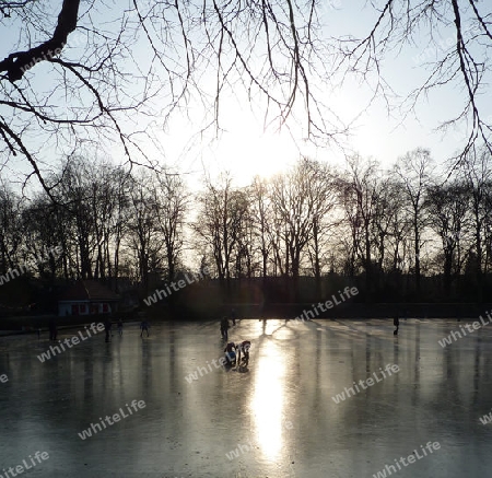 Zugefrorener Teich, Eis-Zeit