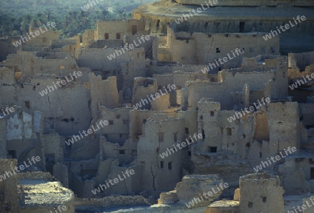  the village of the oasia of siwa in the sahara desert in Egypt in North Africa. 