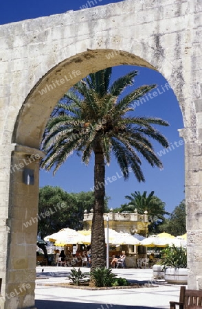 The Barrakka Garten in the old Town of Valletta on Malta in Europe.