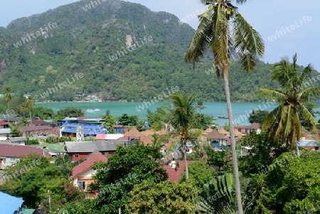 The view from the Viewpoint on the Town of Ko PhiPhi on Ko Phi Phi Island outside of the City of Krabi on the Andaman Sea in the south of Thailand. 