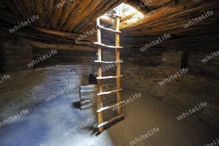 Leiter in einem unterirdischen Raum, Kiwa,  im "Spruce Tree House" der indianischen Ureinwohner, ca. 800 Jahre alt, Mesa Verda NP, UNESCO Weltkulturerbe, Colorado, USA