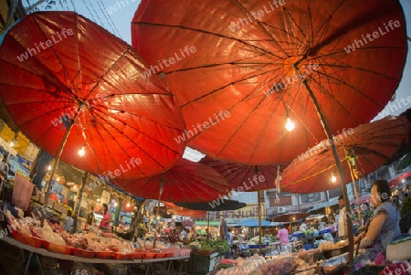 umbrellas at the morning Market in Nothaburi in the north of city of Bangkok in Thailand in Southeastasia.