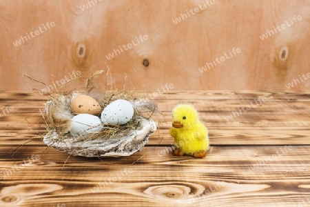 Muschelschale als Nest mit Eier auf Holzhitergrund,Kueken