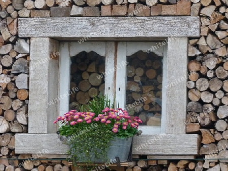Wand mit Brennholz und Fenster 2