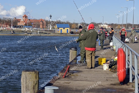 Angler angeln Heringe im alten Hafen der Hansestadt Stralsund, Unesco Weltkulturerbe, Mecklenburg Vorpommern, Deutschland, Europa, oeffentlicherGrund