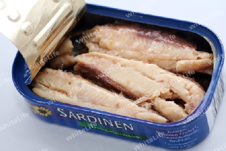 Sardinen
