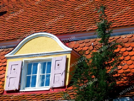 Rotes Ziegeldach mit gelber Dachgaube
