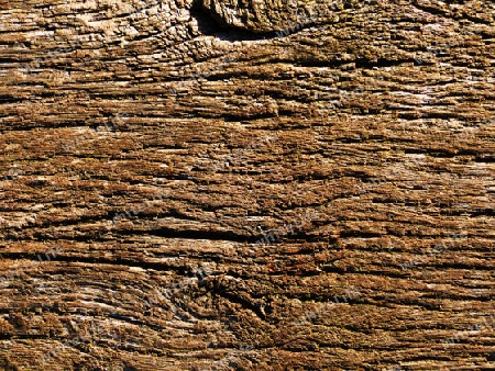 Natural wooden structure - Nat?rliche Holz Struktur