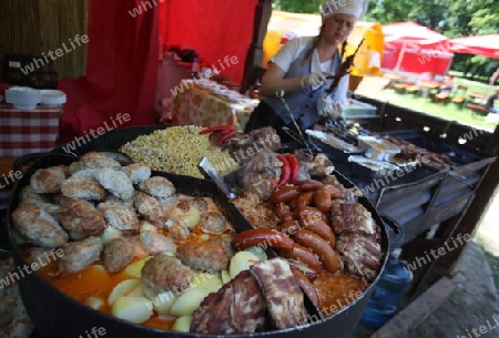 fresh food on a Summer Festival in a Parc in the old City of Vilnius in the Baltic State of Lithuania,  