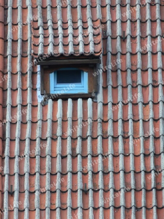Hausdach mit Dachgaube