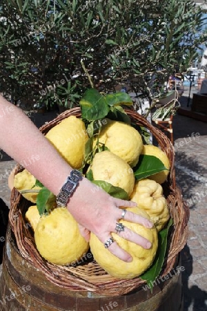 Frauenhand greift nach Zitronen