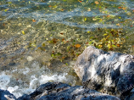 Ufer mit kristallklarem Seewasser und Herbstlaub  1