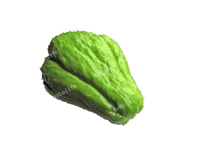 Chayote-Frucht