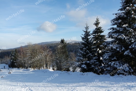 Harz, Winterlandschaft mit Blick zum Brocken
