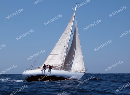 sailing in regatta with strong wind