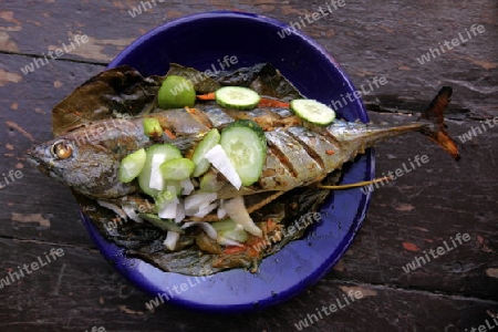 Ein Fisch Menue vom Grill auf der Insel Ko Tao im Golf von Thailand im Suedwesten von Thailand in Suedostasien.