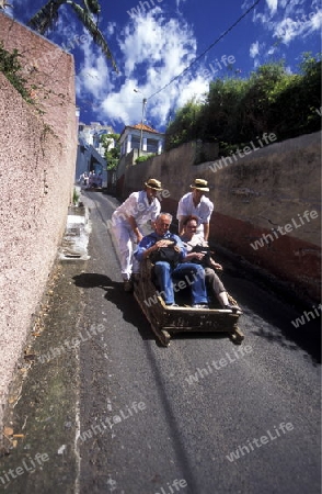 Ein Korbschlitten faehrt von Monte in die Hauptstadt Funchal auf der Insel Madeira im Atlantischen Ozean