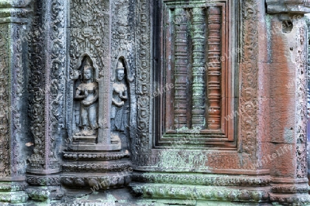Tempel Ta Prohm, Siem Reap, Kambodscha