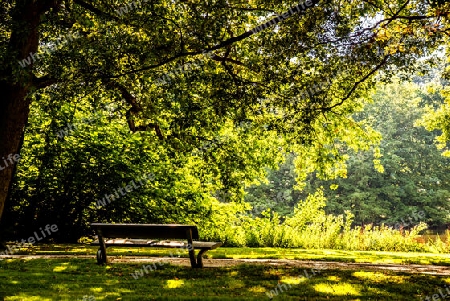 Ruhe und Entspannung finden im Godewind Parkt mitten in Travemünde
