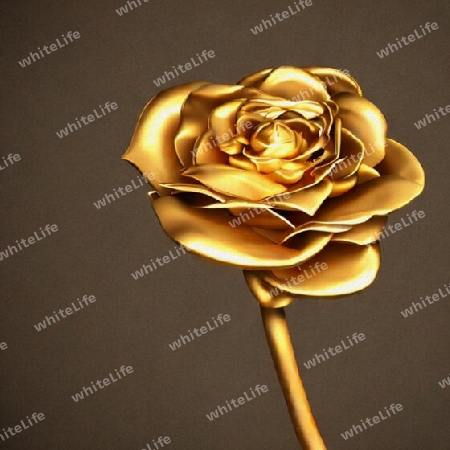 goldene rose