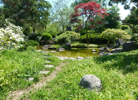 Japanischer Garten 4