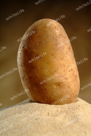 Kartoffel Linda