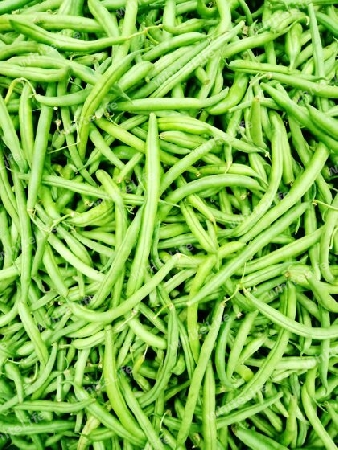 Closeup of Green beans