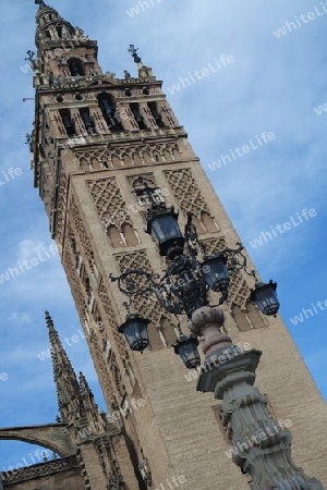 Giralda Turm in Sevilla