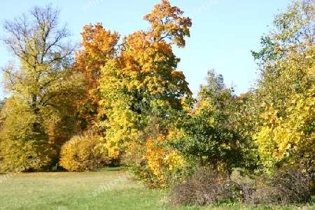 Herbststimmung im Babelsberger Park