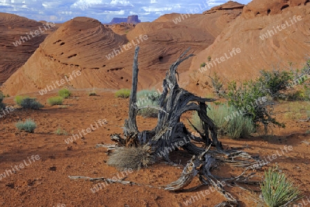 Typische Landschaftsform im Mystery Valley, Arizona, USA
