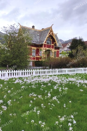 Frühling in Nordfjordeid, Norwegen