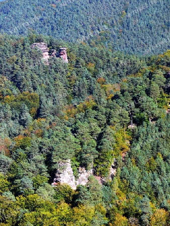 Herbstwald mit rotem Sandsteinfels   2