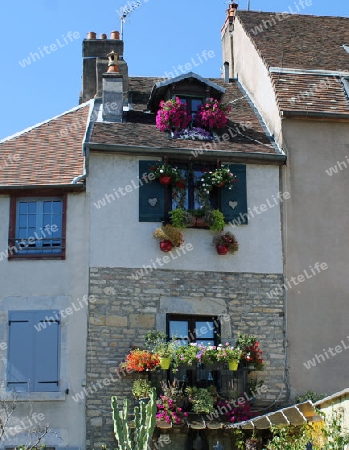 Fenster mit Sommerblumen in Frankreich
