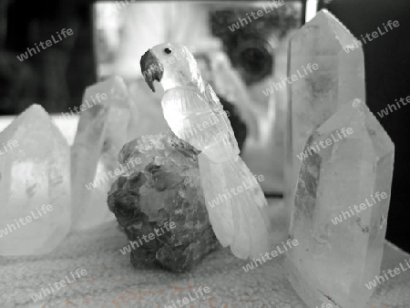 Papgei aus Bergkristall zwischen Kristallen
