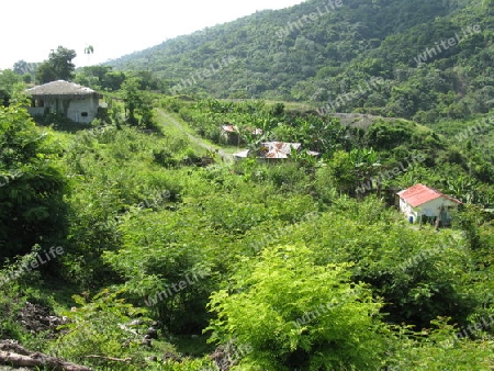 Dominikanische Republik. Tropische Bergregion