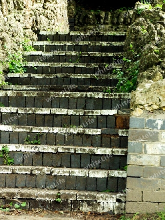 Alte Treppe in englischem Park