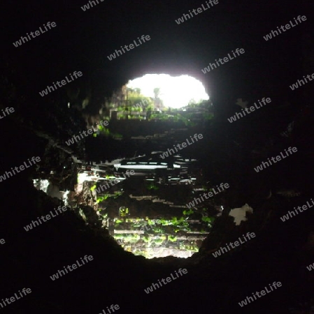 Lanzarote, Cueva Verde, Blick auf den Kakteen-Garten,H?hlensee