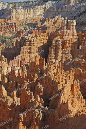 Felsformationen und Hoodoos im Bryce Canyon bei Sonnenuntergang, Sunset Point, Utah, Suedwesten , USA