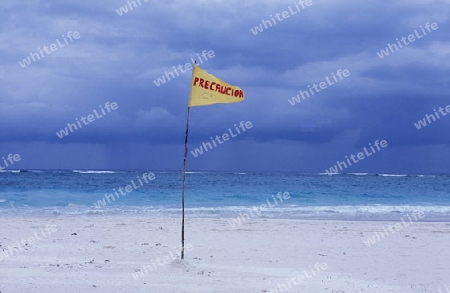 Der Strand von Tulum am Karibischen Meer im Staat Quintana Roo auf der Halbinsel Yuctan im sueden von Mexiko in Mittelamerika.    
