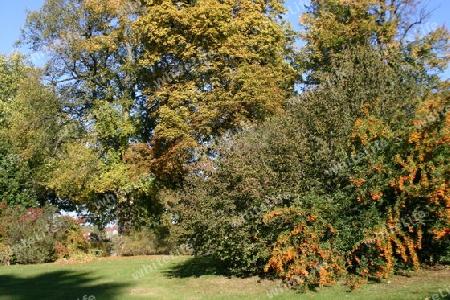 Babelsberger Park