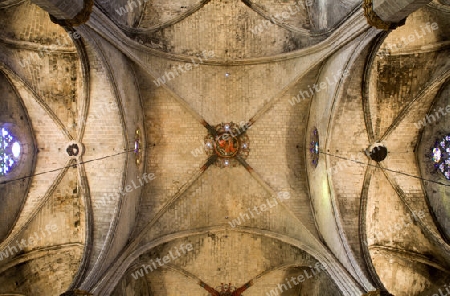 Barcelona - Gew?lbe von der gotische kriche Santa Maria del Mar