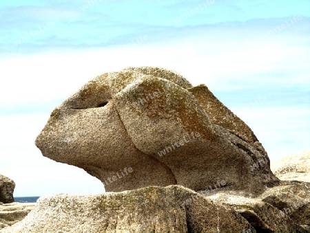 Stein in Form eines Sphinxkopfes