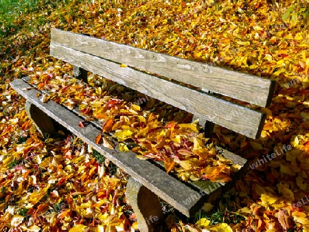 Herbstlaub auf und unter einer Sitzbank