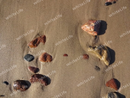 Kieselsteine im nassen Sand