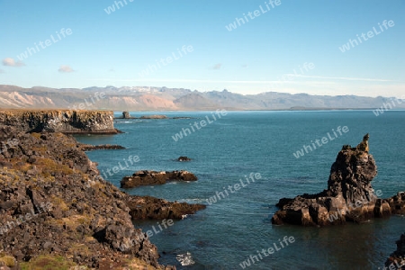 Der Westen Islands, die Klippen der Steilk?ste von Arnastapi auf der S?dseite der Halbinsel Sn?fellsnes