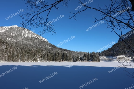 Winterpanorama Spitzingsee