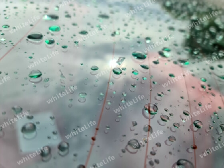 Rain drops on a black metallic car surface in a closeup view