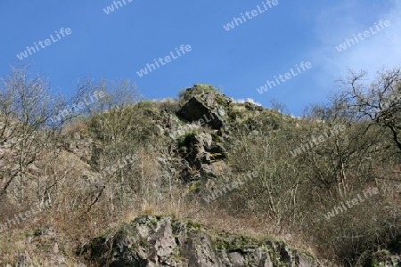 Felsen mit kargen Bewuchs aus der Froschperspektive gesehen    Rocks with sparse vegetation as seen from the frog perspective 